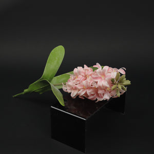 HCFL9858 - LS Pink Hyacinth