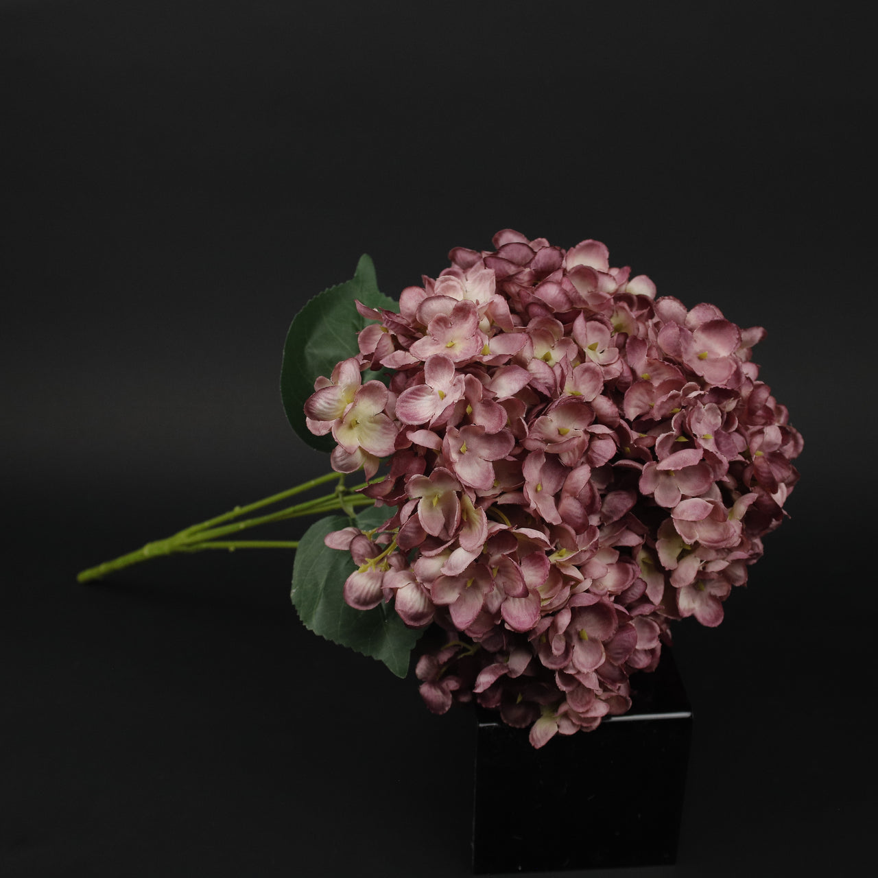 HCFL9864 - Magenta Limelight Hydrangea Bq