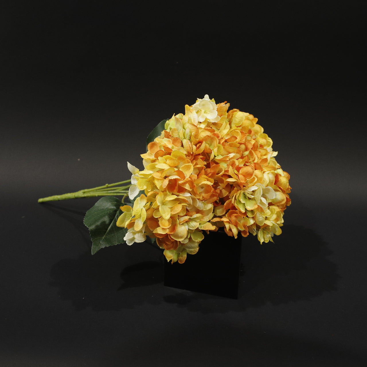 HCFL9865 - Yellow Limelight Hydrangea Bq