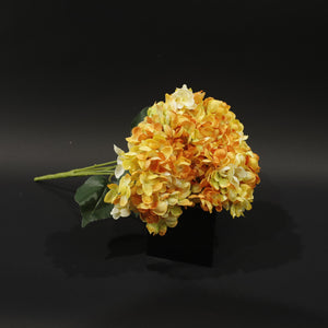 HCFL9865 - Yellow Limelight Hydrangea Bq