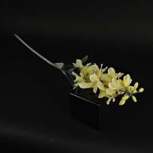 HCFL9872 - LS Yellow Phantom Orchid