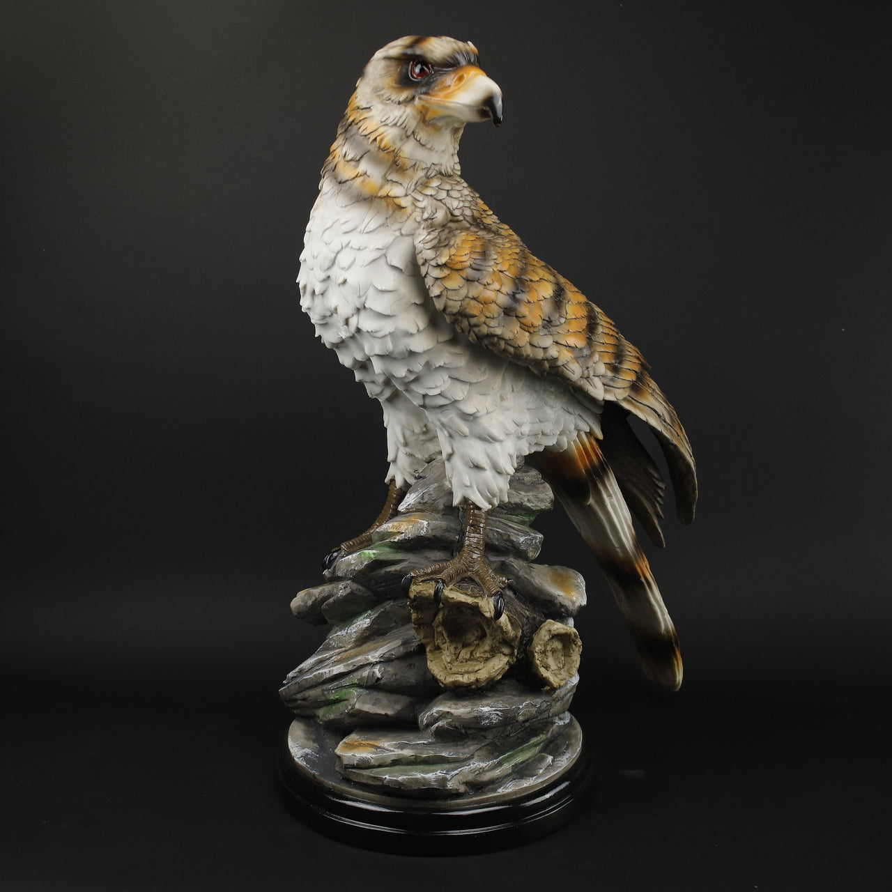 HCHD9922 - Tall Spotted Eagle