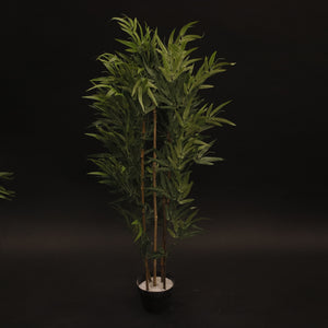 HFL10218 - Bamboo Tree - 4'
