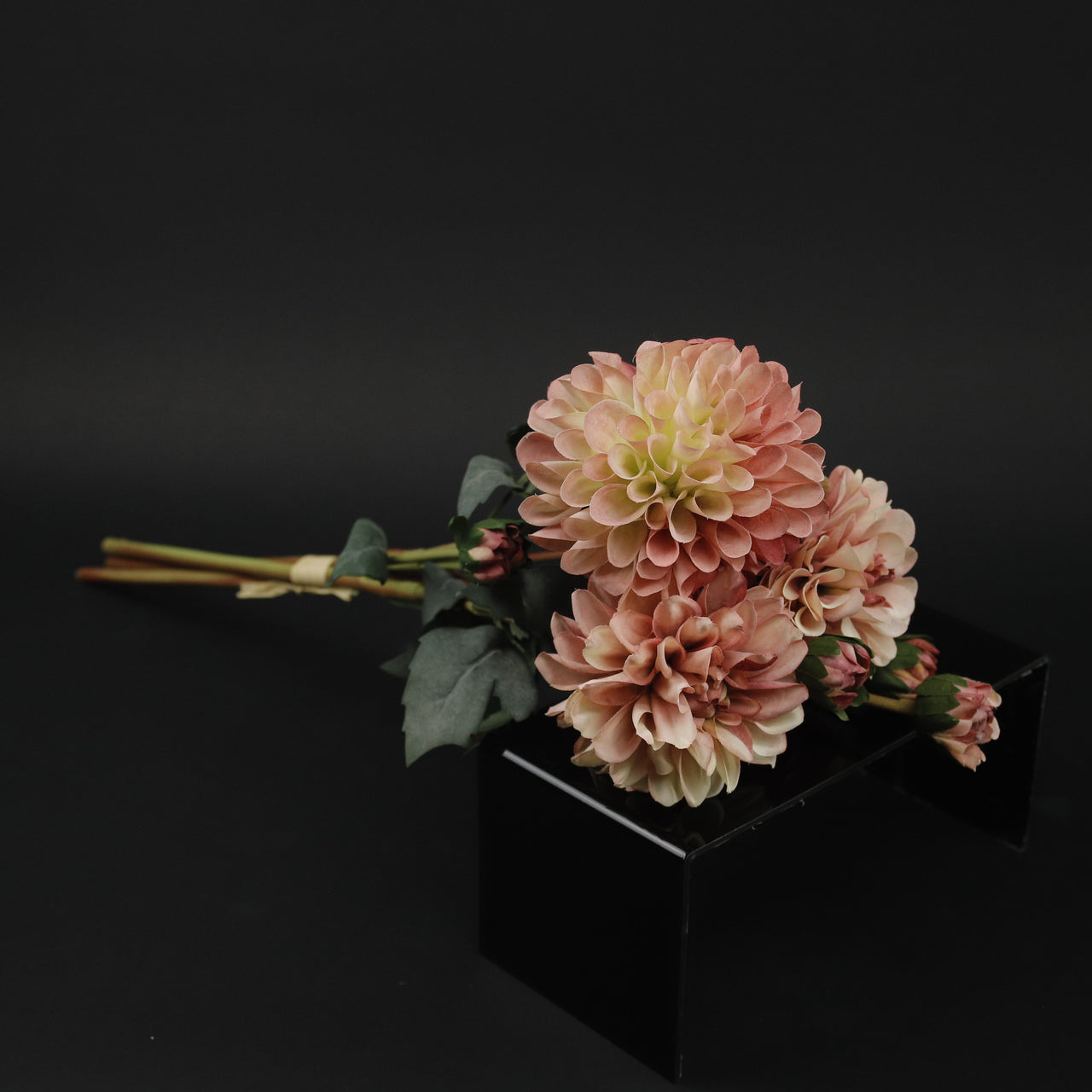 HFL10227 - Rust Garden Dahlia Bq