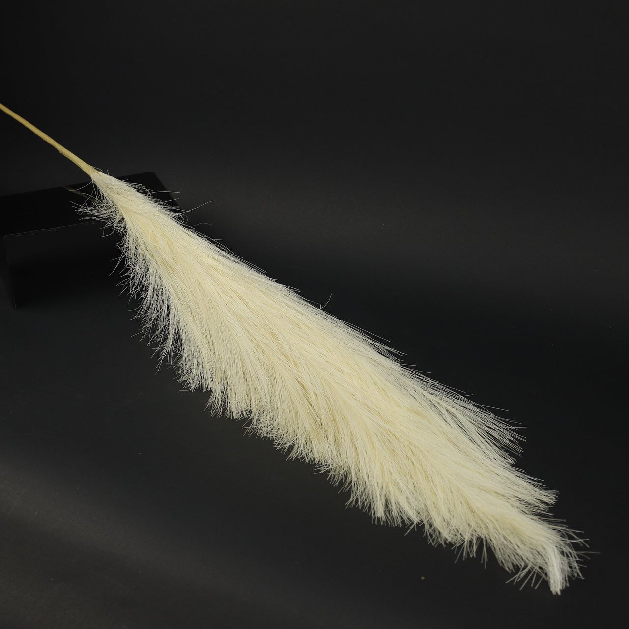 HFL10302 - LS Cream Pampas Grass