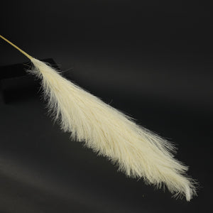 HFL10302 - LS Cream Pampas Grass