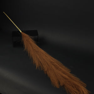HFL10305 - LS Chocolate Pampas Grass