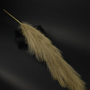 HFL10306 - LS Sand Pampas Grass