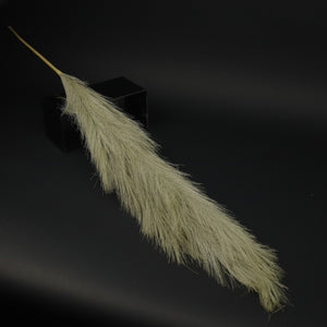 HFL10307 - LS Sage Pampas Grass