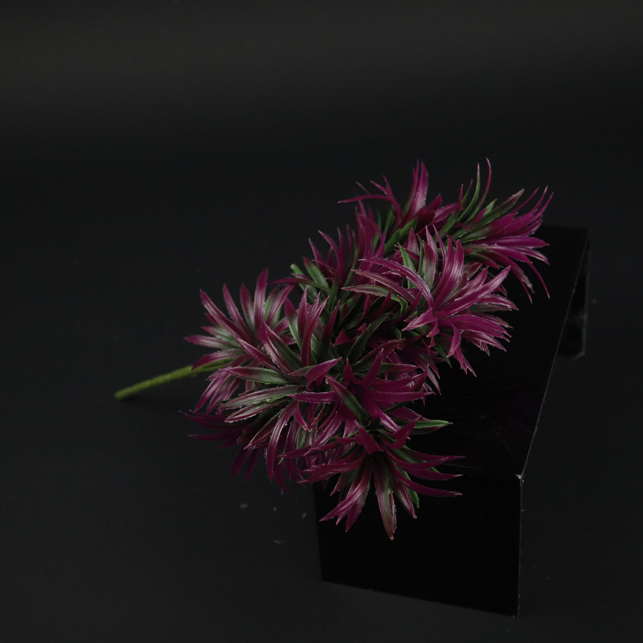 HFL10313 - LS Red Pineapple Grass
