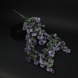 HFL10317 - LS Trailing Purple Eucalyptus