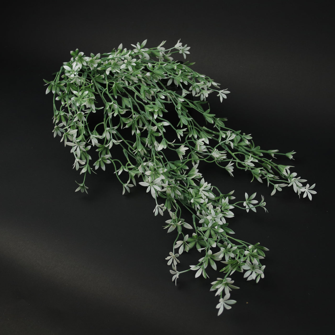 HFL10320 - LS Hanging Marestail