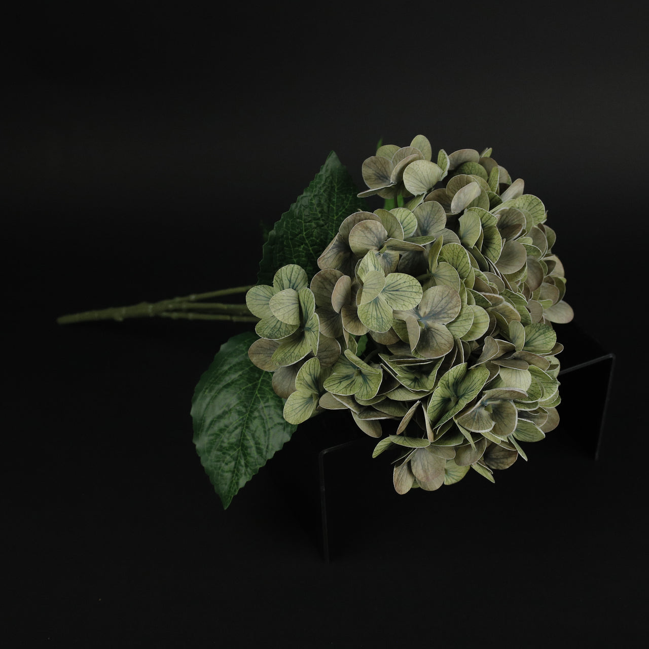 HFL10329 - Blue Green French Hydrangea Bq