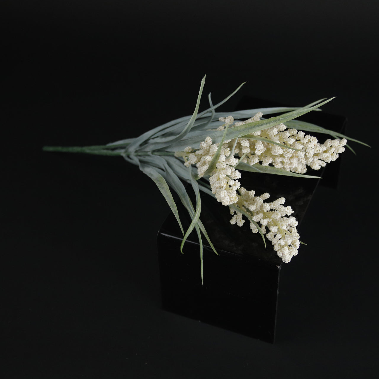 HFL10339 - Blush Lupin Bq