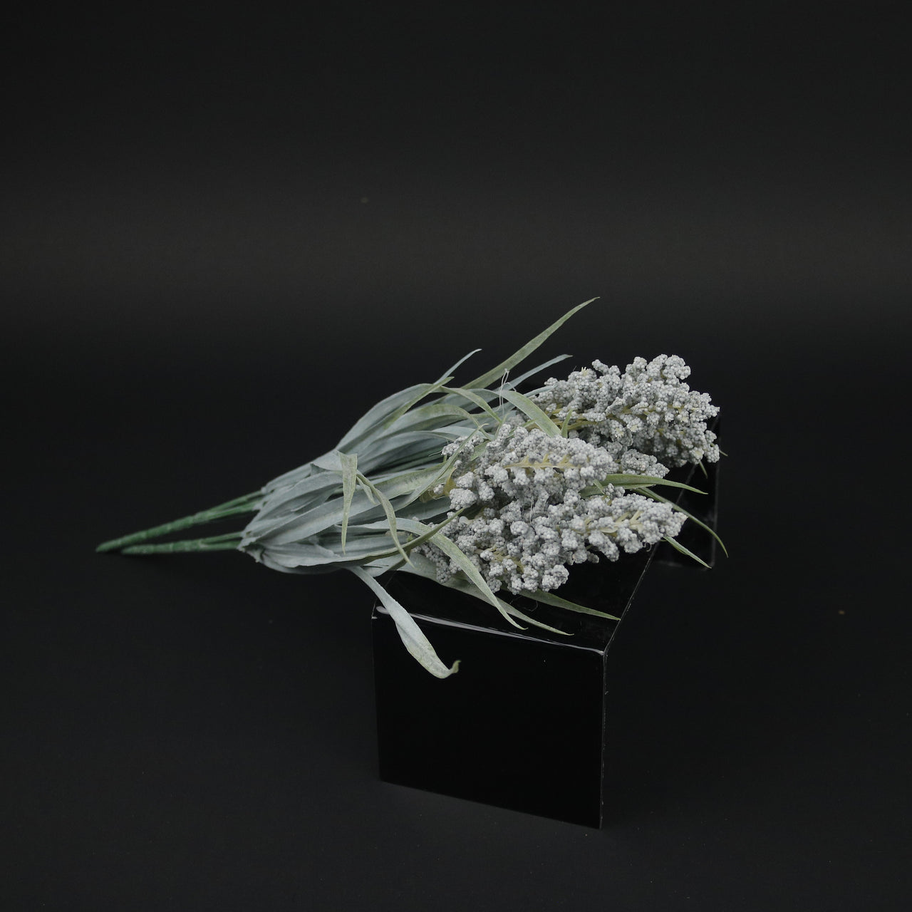 HFL10340 - Sage Lupin Bq