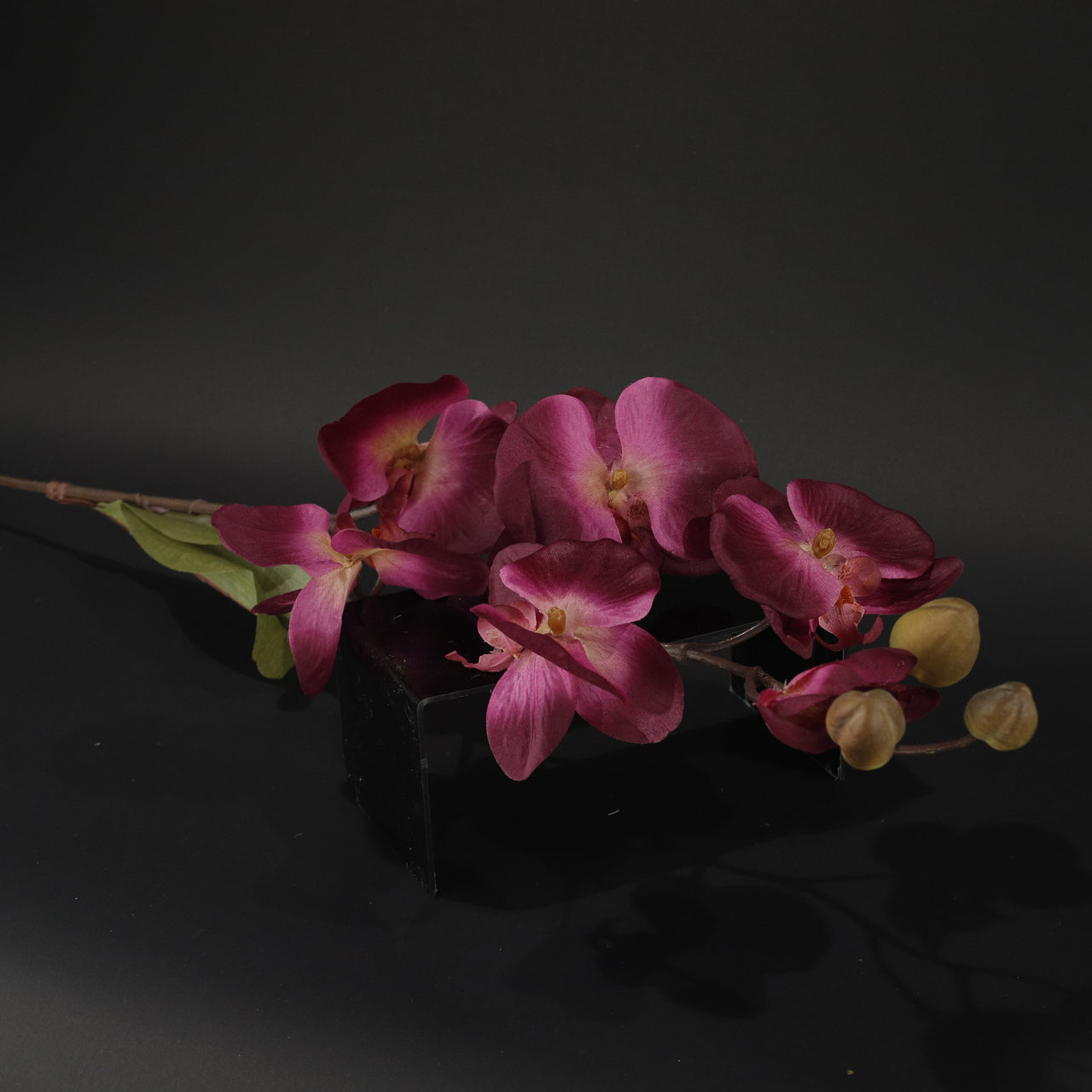 HFL10342 - LS Magenta Orchid