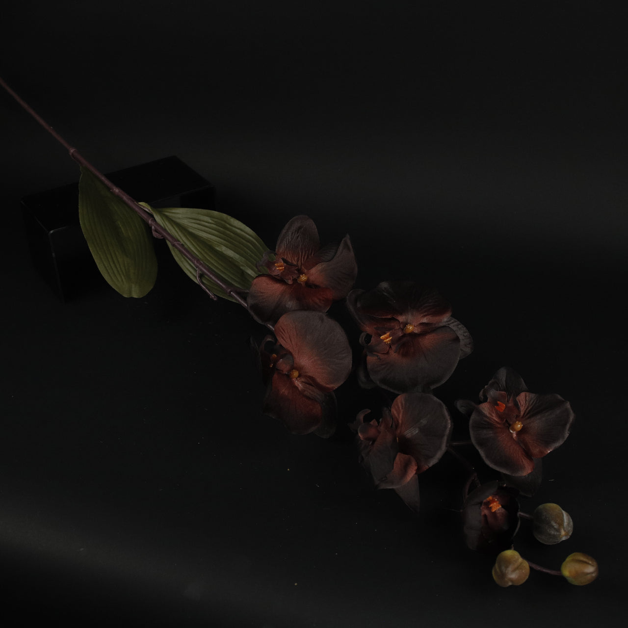 HFL10343 - LS Black Orchid