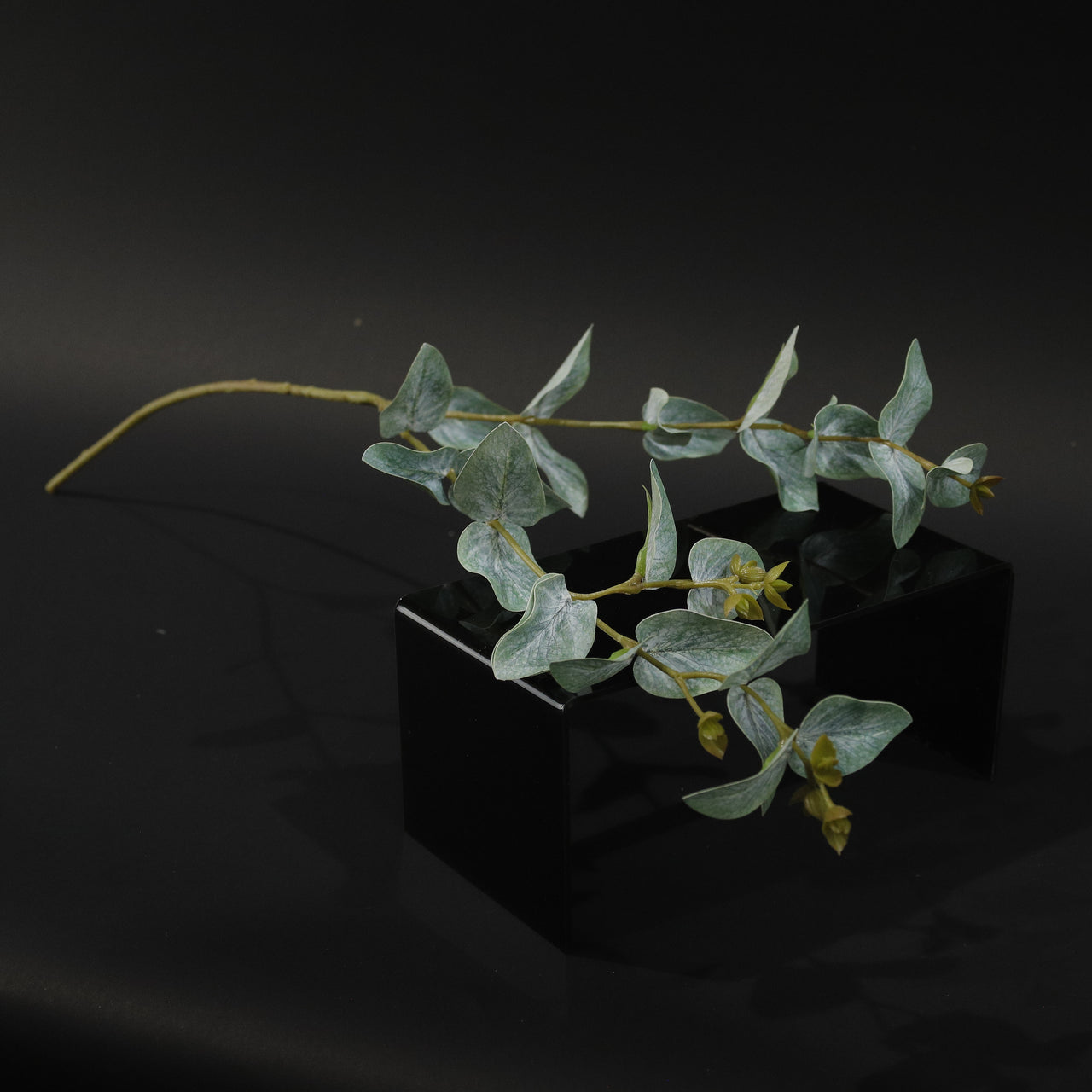 HFL10356 - Green LS Eucalyptus