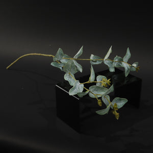 HFL10356 - Green LS Eucalyptus