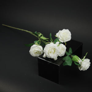 HFL10365 - LS White Rose Bush