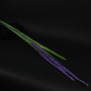 HFL10367 - Grape Hyacinth Bq