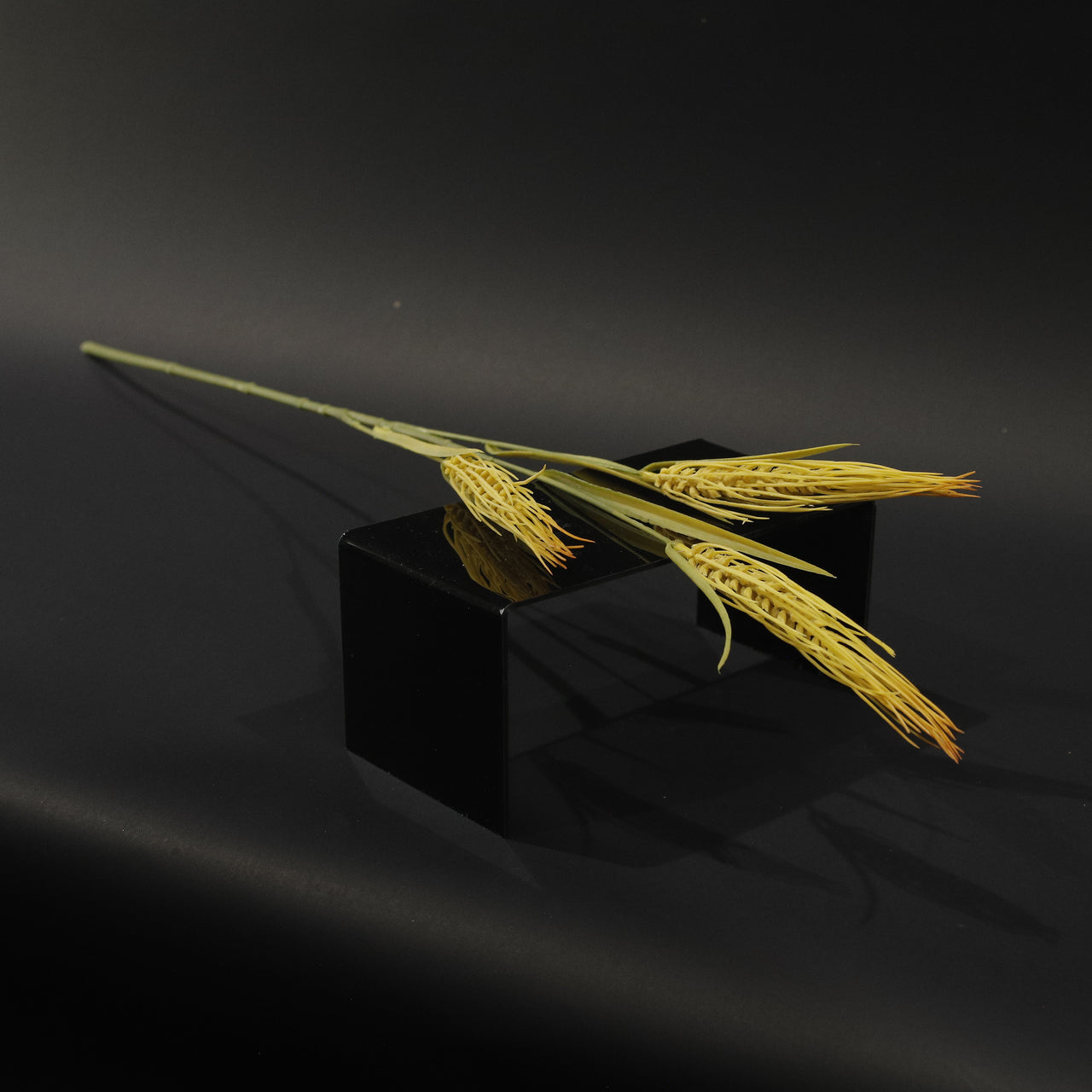 HFL10368 - Yellow Turtle Grass Bq