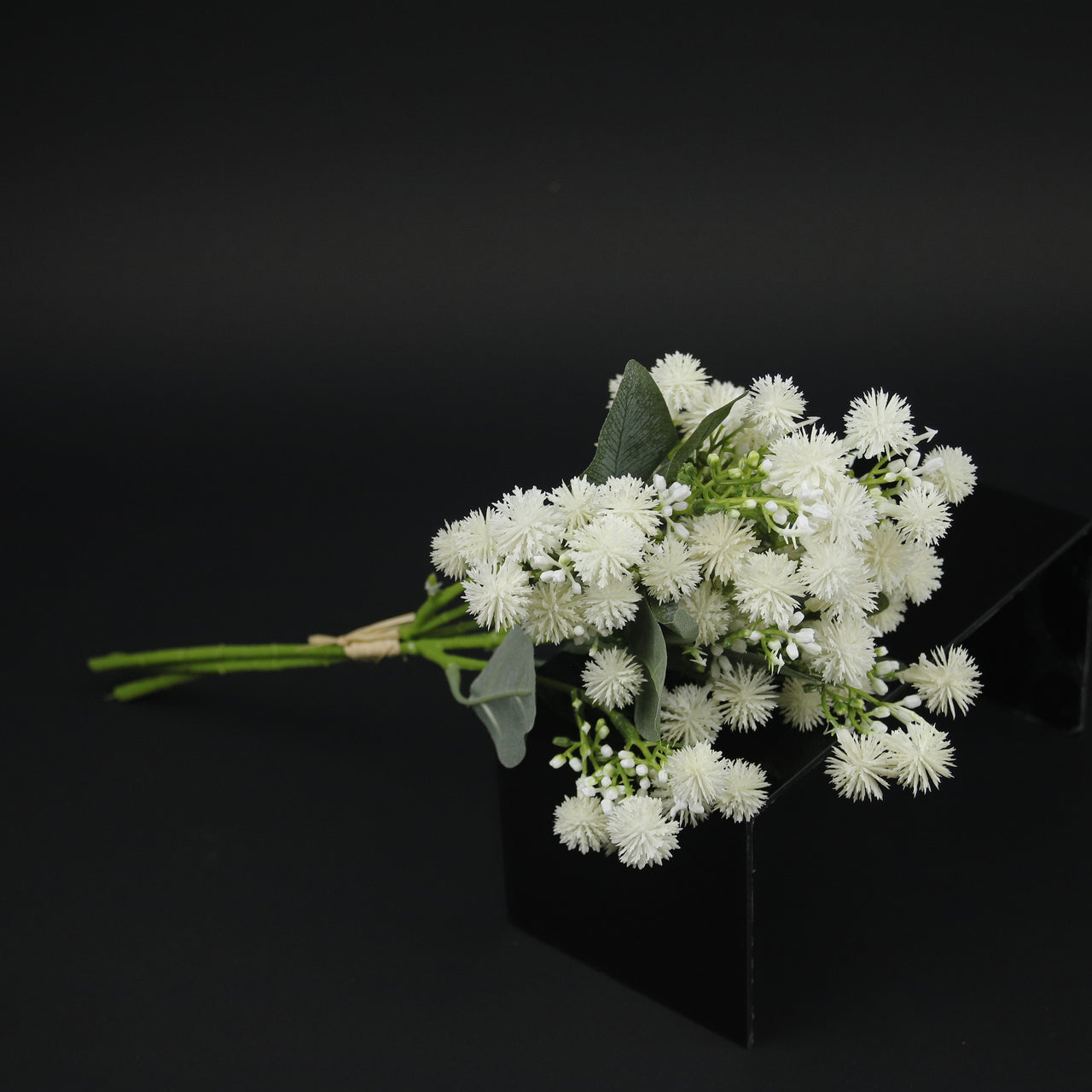 HFL10424 - White Snakeroot Bq