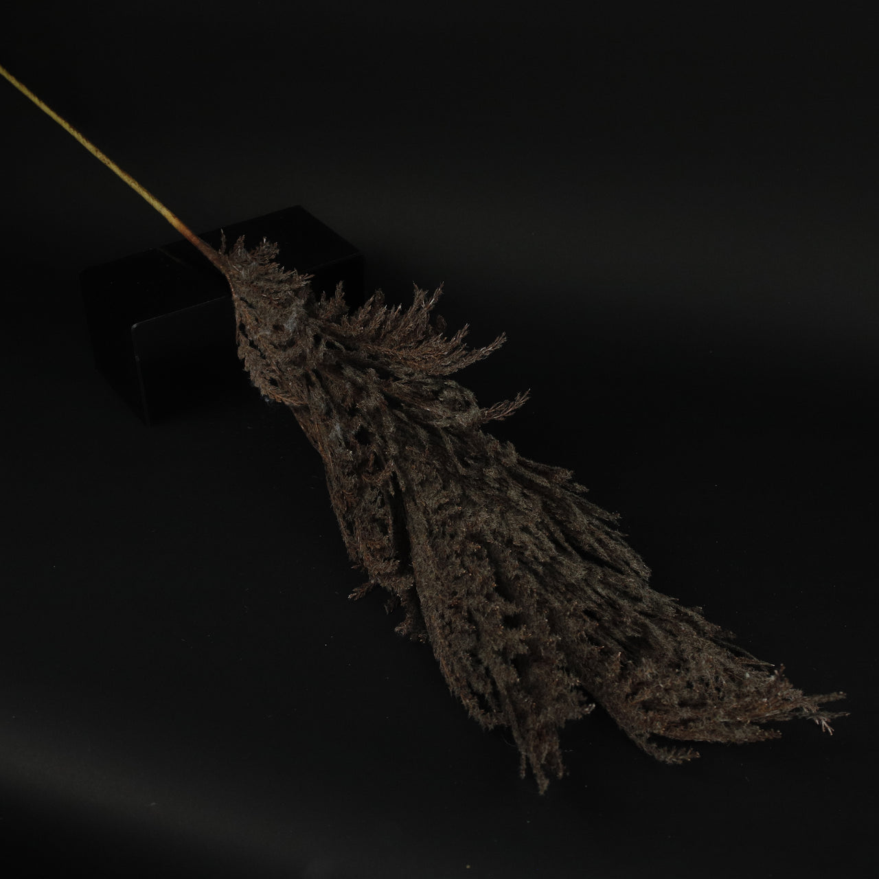 HFL10434 - LS Coffee Coral Reed