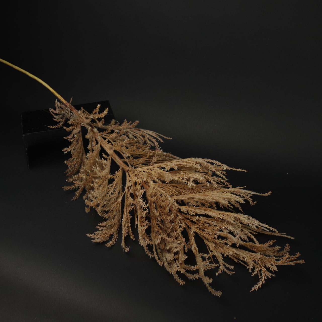 HFL10435 - LS Taupe Coral Reed