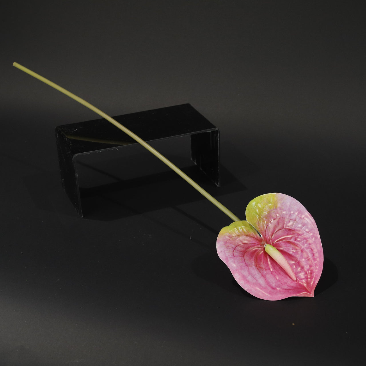 HFL10438 - LS Pastel Anthurium