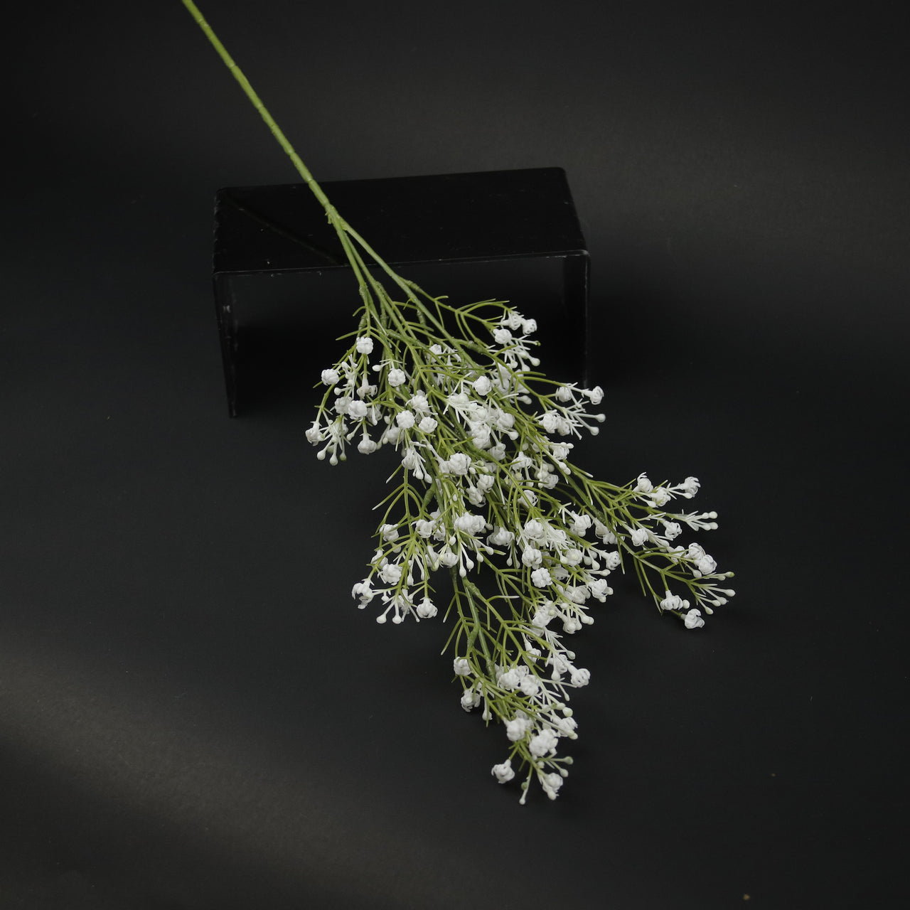 HFL10444 - LS White Branch of Trees