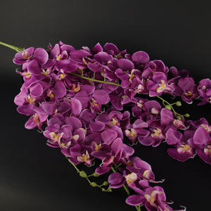 HFL10457 - LS Hanging Magenta Orchids