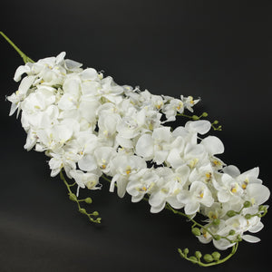 HFL10458 - LS Hanging White Orchids