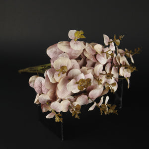 HFL10608 - Pink Money Grass Bq
