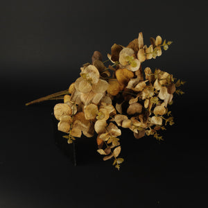 HFL10609 - Rust Money Grass Bq