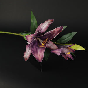 HFL10611 - LS Single Fuschia Lily