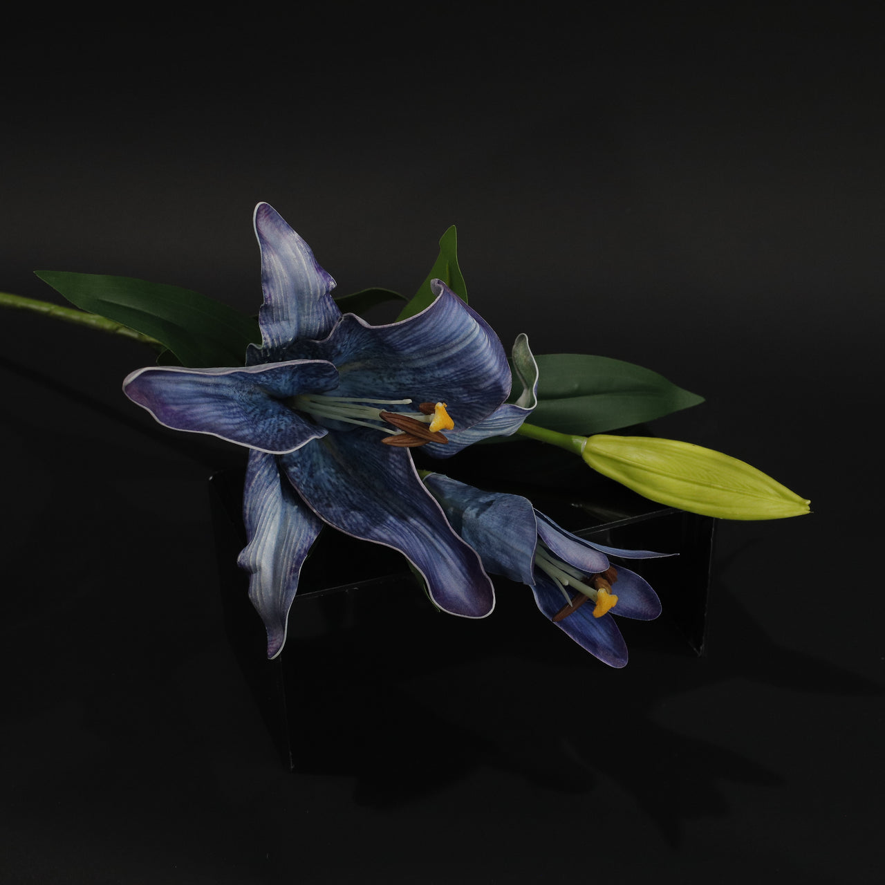 HFL10612 - LS Single Blue Lily