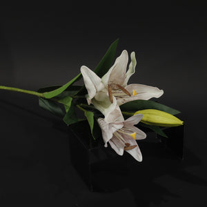 HFL10613 - LS Single White Lily