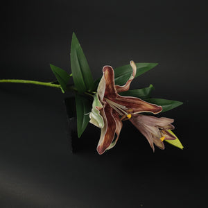 HFL10614 - LS Single Autumn Lily