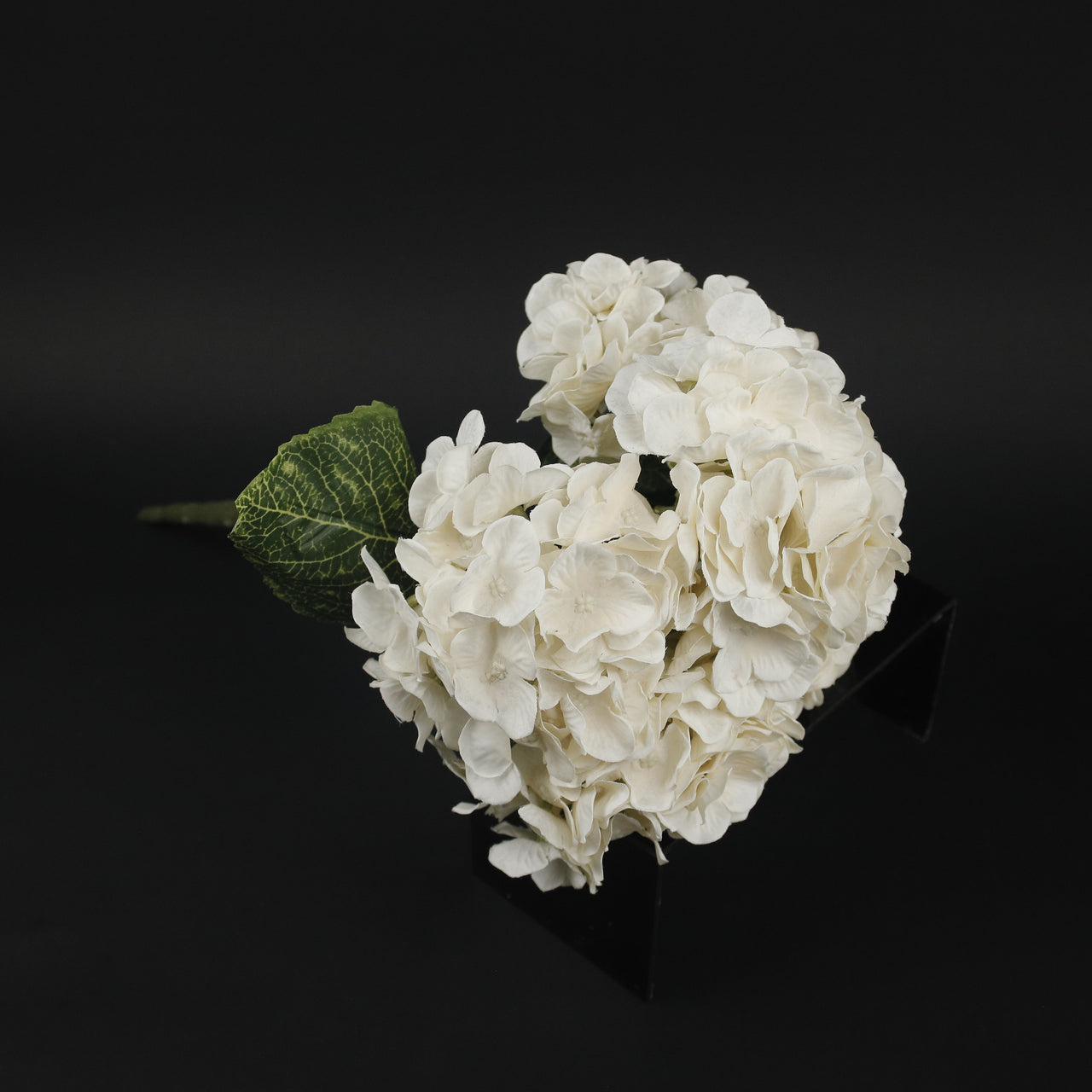 HFL10615 - Cream LS Hydrangea