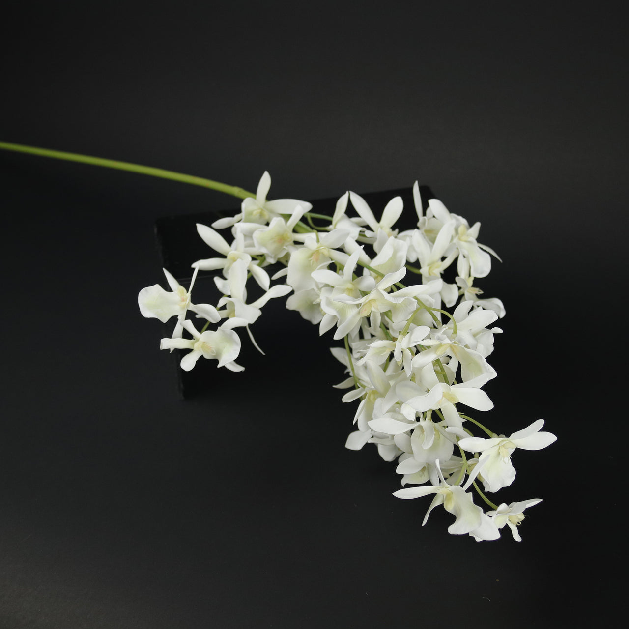 HFL10618 - LS White Spider Orchid