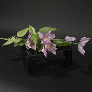 HFL10631 - LS Purple Clematis