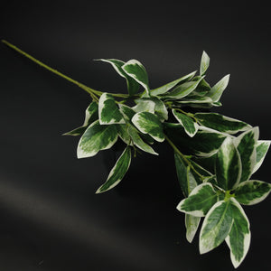 HFL10637 - LS Green Mango Leaves
