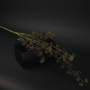 HFL10638 - LS Evergreen Fruit