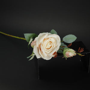HFL10698 - Single LS Blush Rose