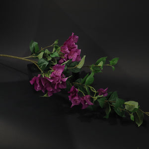 HFL10701 - LS Fuschia Bougainvillea