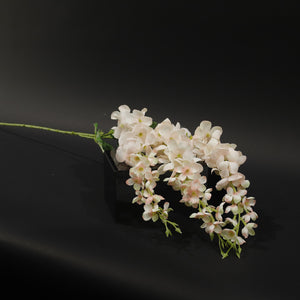 HFL10703 - Pink Trailing Wisteria