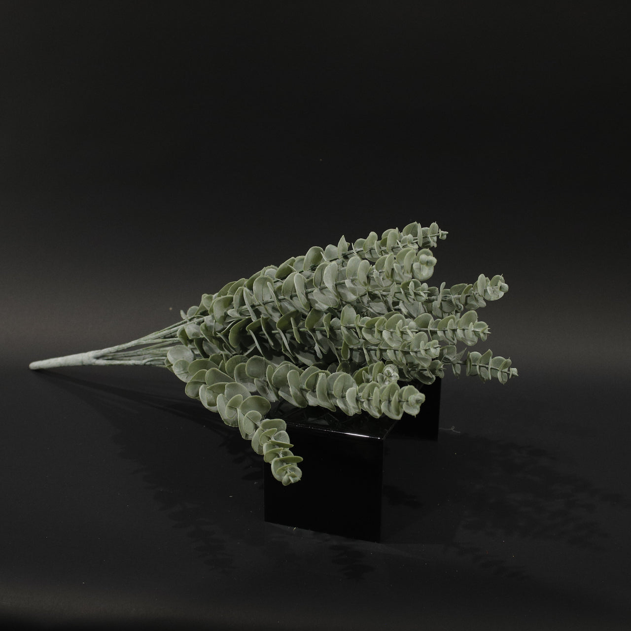 HFL10711 - Apple Eucalyptus Bq