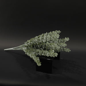 HFL10711 - Apple Eucalyptus Bq
