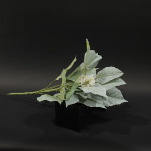 HFL10714 - LS Hydrangea Leaves